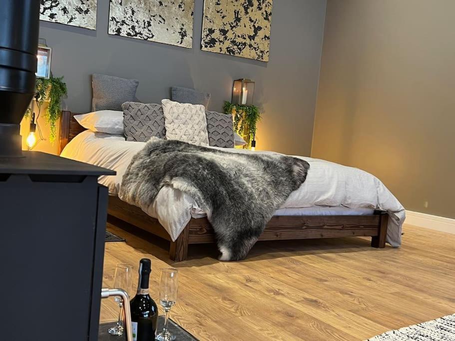 Вилла Quirky, Luxury Hideaway Llanbrynmair Экстерьер фото